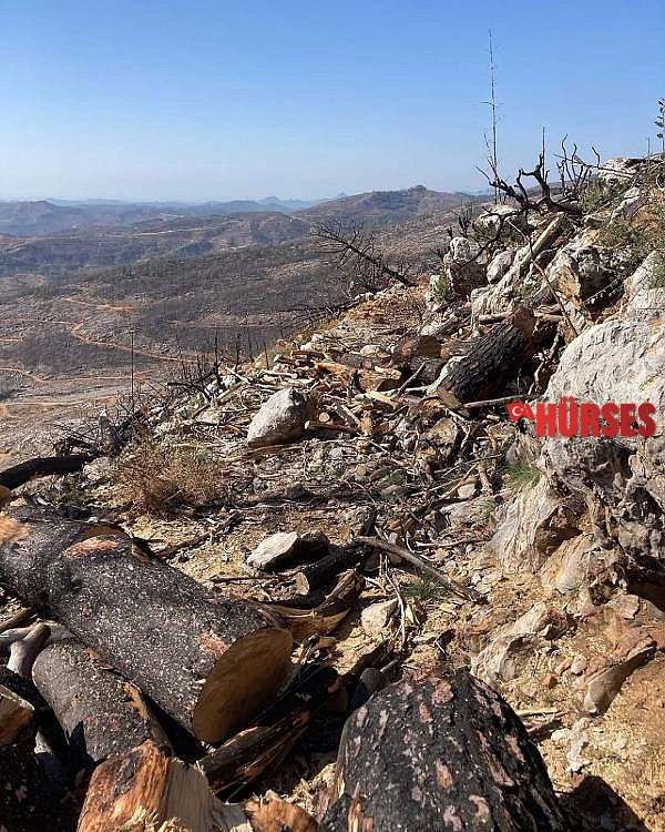 Tarihi kervan yolunu, tomruk araçları tahrip etti