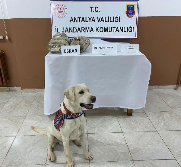 Bavuldaki uyuşturucuyu Elyaf buldu