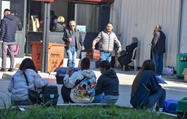 Evcil hayvan sahiplerinin 'çip taktırma' sırası