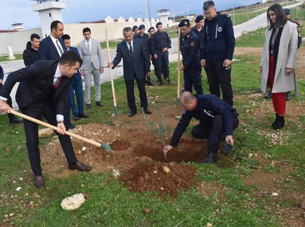 Manavgat Cezaevi'nde 200 zeytin fidanı dikildi