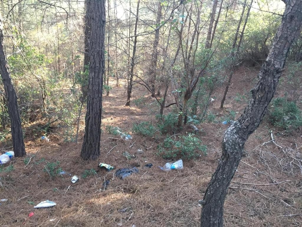 Mantar toplayan vatandaşların bıraktığı çöpler tepki topluyor