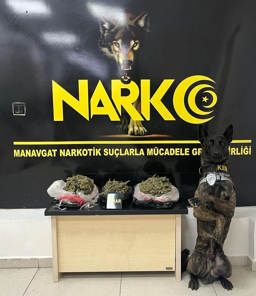 Narkotik köpek Pars'tan uyuşturucuya geçit yok