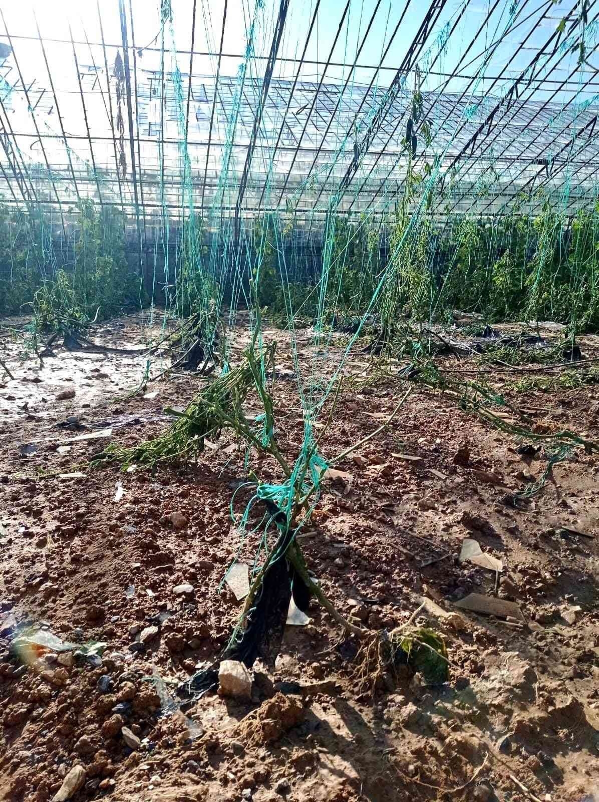 Patlayan su borusu yol ve sera camlarını parçaladı, seralar suyla doldu