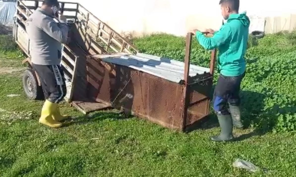 Tilkinin kurnazlığı, emekli polisin 'Battal Gazi' kapanına sökmedi