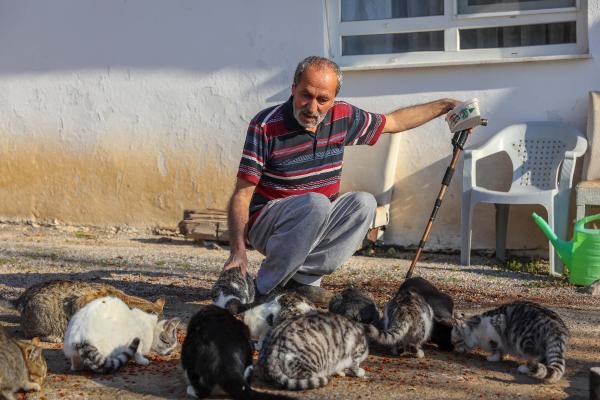 Bulduğu kör kediye baktı, mahalledeki kedilerin 'dedesi' oldu