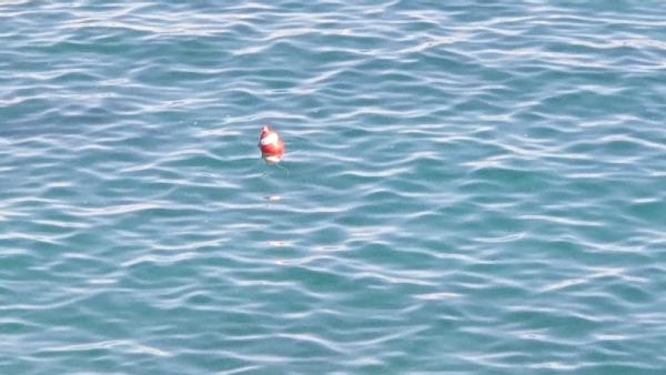 AÜ'den deniz kirliliğine karşı erken uyarı sistemi projesi