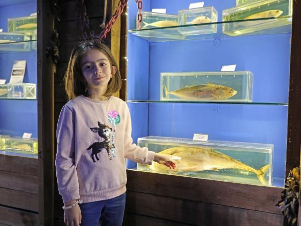 Deniz Biyoloji Müzesi'ndeki balıklar yenilenecek