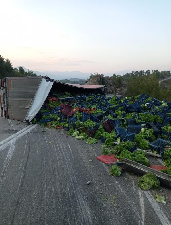 Sebze yüklü TIR devrildi, sürücü öldü