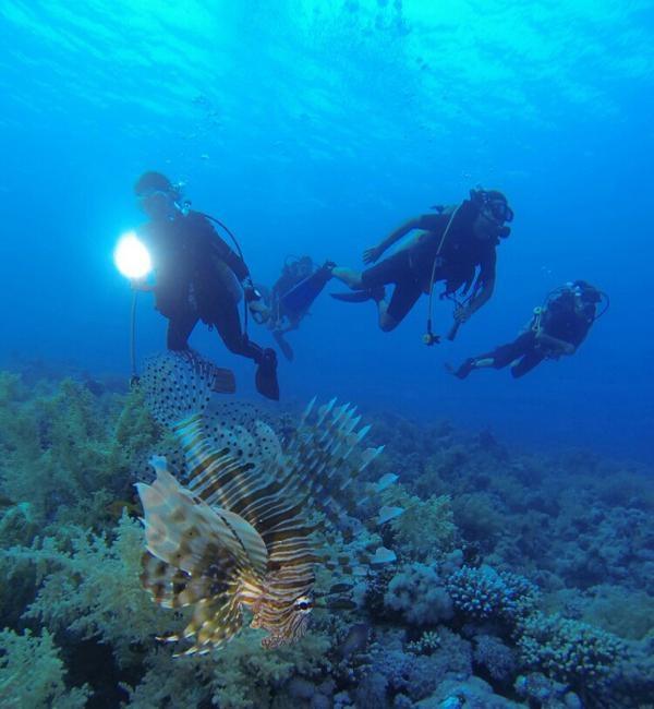Antalya'da dalış turizmi için geri sayım başladı