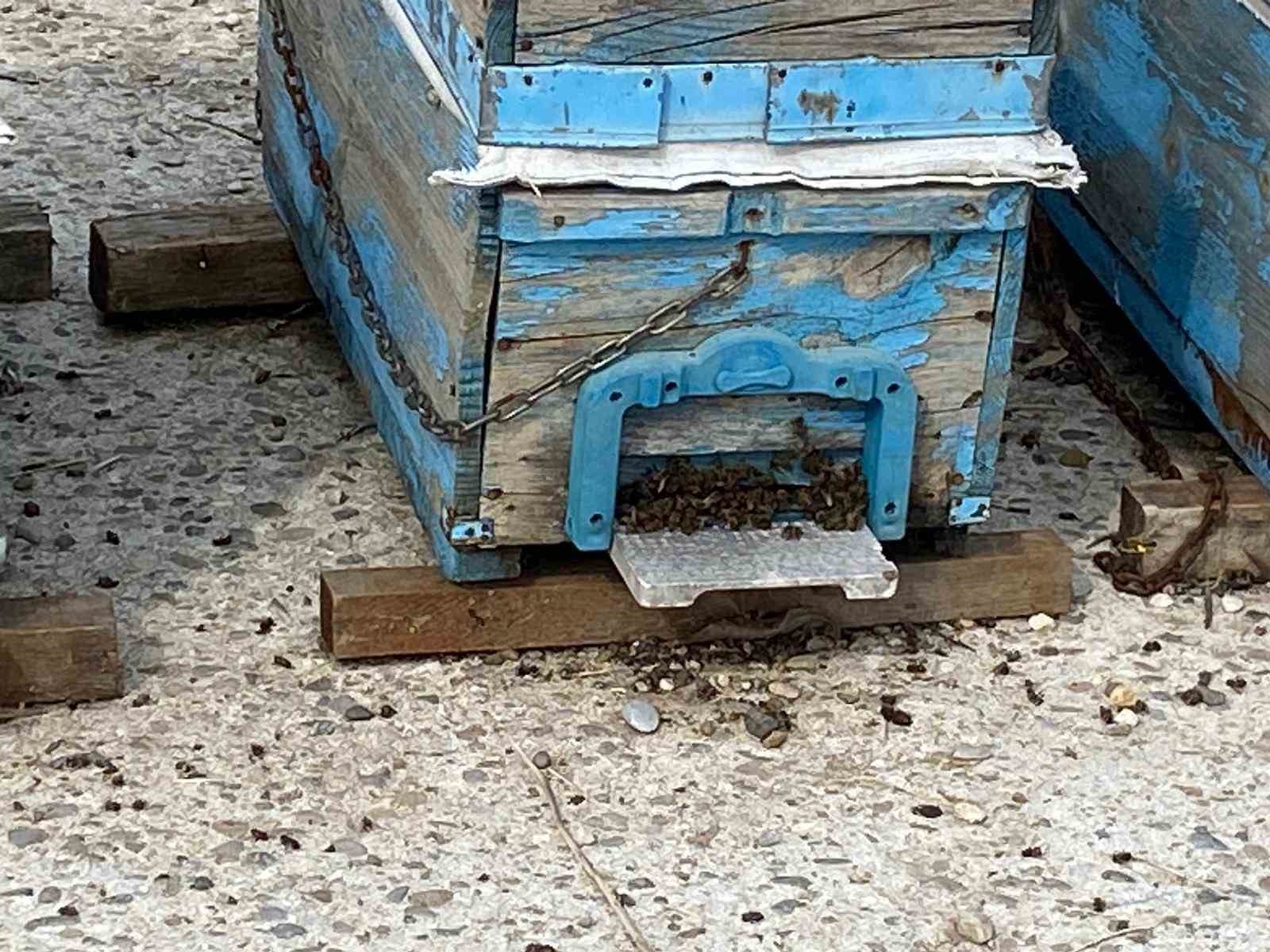 Arıcıların kışlama mesaisi başladı