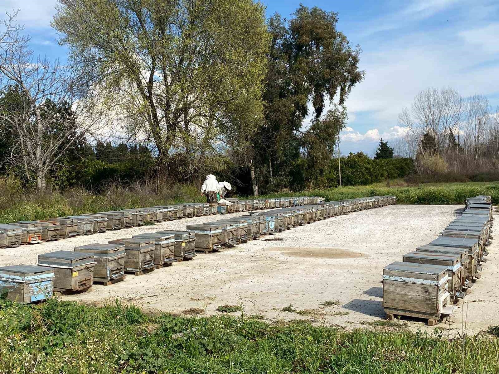 Arıcıların kışlama mesaisi başladı