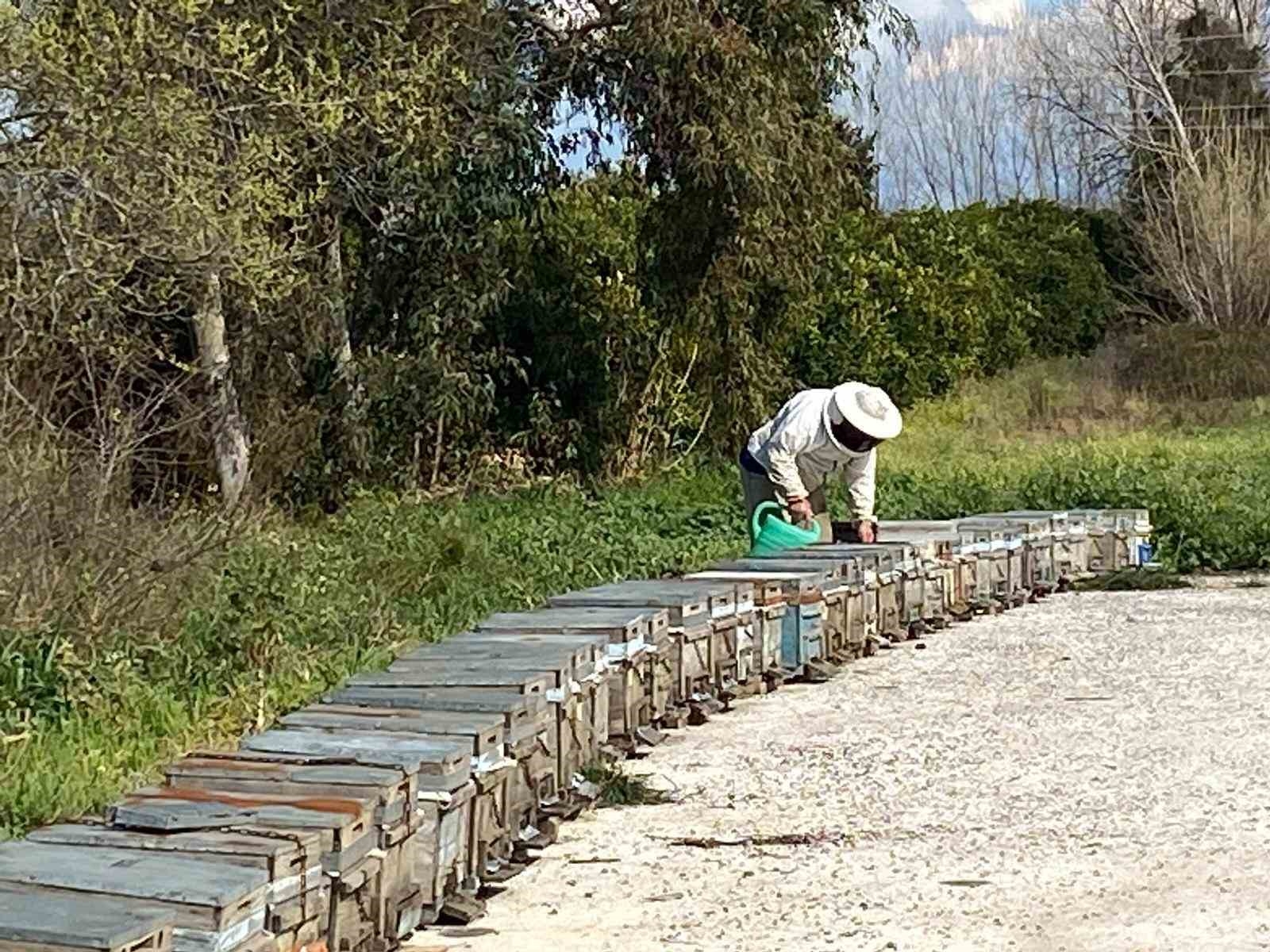 Arıcıların kışlama mesaisi başladı