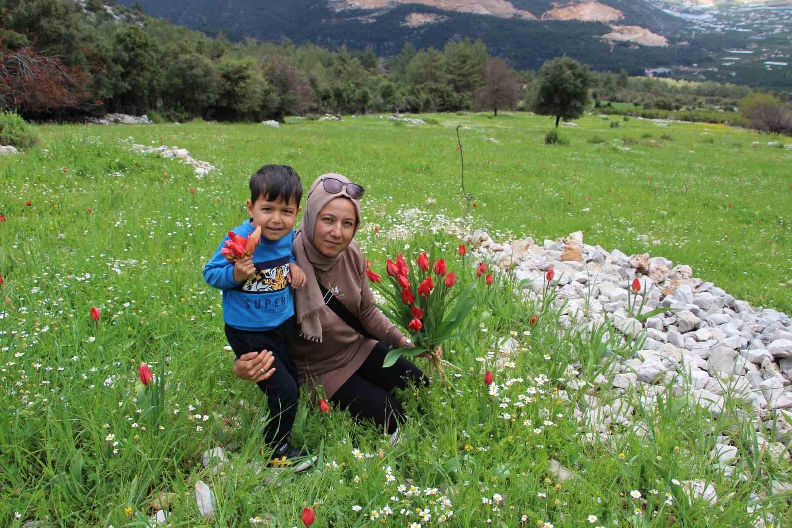 Antalya'da Osmanlı laleleri görsel şölen oluşturdu