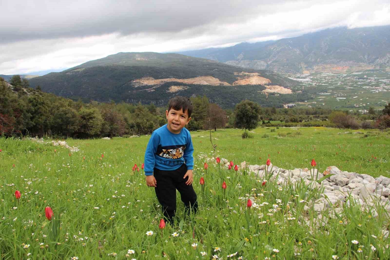 Antalya'da Osmanlı laleleri görsel şölen oluşturdu
