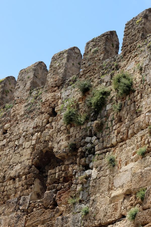 1893 yıllık Hadrianus Kapısı, bakımsızlıktan yeşerdi