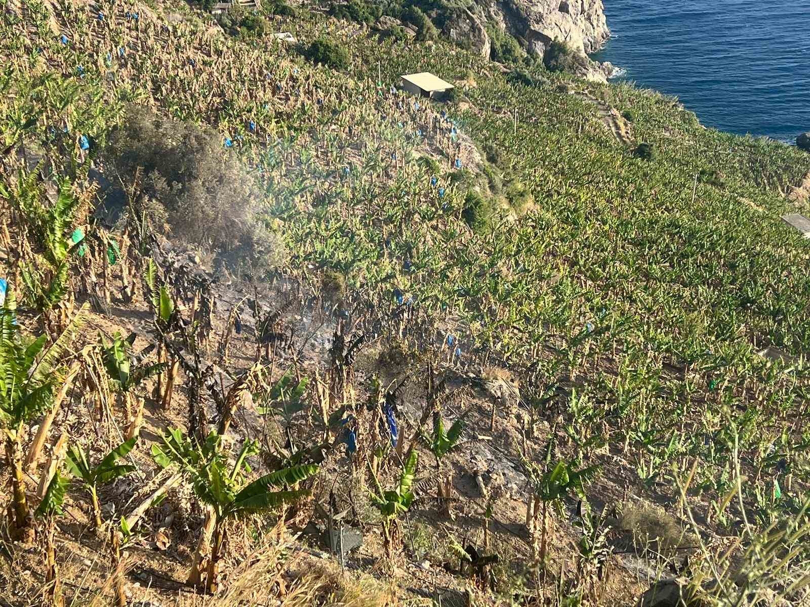 Antalya'da ormanlık alanda ve muz bahçesinde çıkan yangında 8 dönüm alan zarar gördü