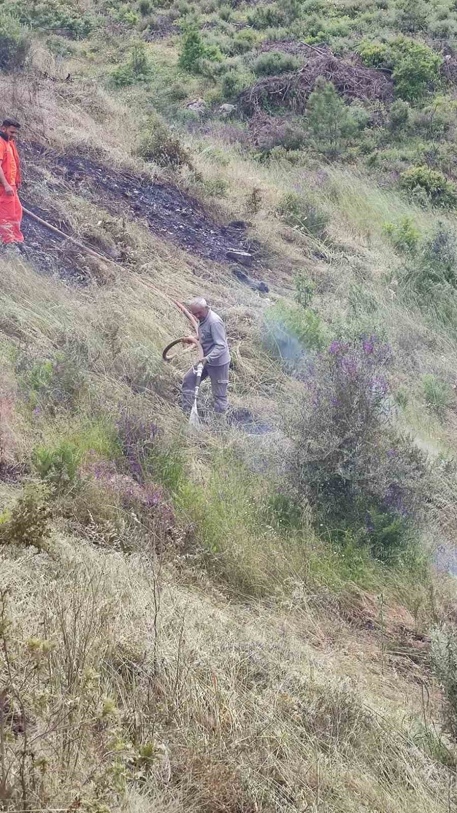 Antalya'da ormanlık alanda ve muz bahçesinde çıkan yangında 8 dönüm alan zarar gördü