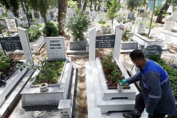  Asya kaplan sivrisineğine dikkat