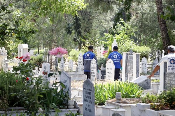  Asya kaplan sivrisineğine dikkat