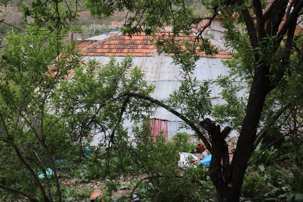 Çatıya çıkan inek imece usulü kurtarıldı