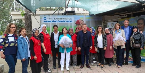 Selvi Kılıçdaroğlu, Hıdırellez için gül dikti dilek tuttu