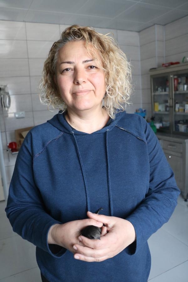 Tedavi edilen ebabil doğaya salındı
