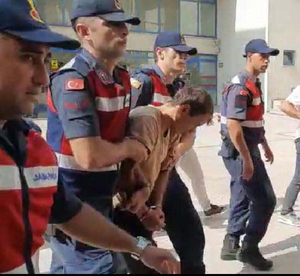 Yanan alanlar yeşillenmeye başladı