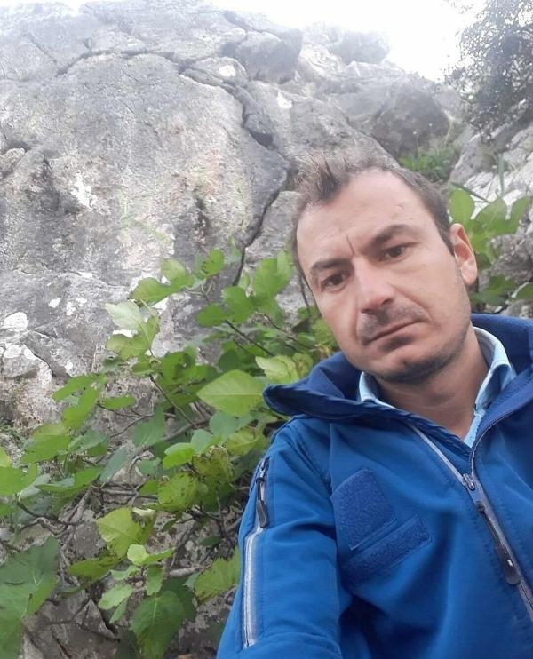 Yanan alanlar yeşillenmeye başladı