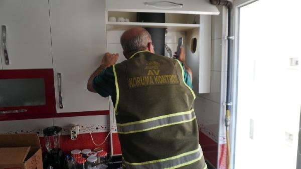 Havalandırma borusundakileri görünce, evindeki tadilata ara verdi
