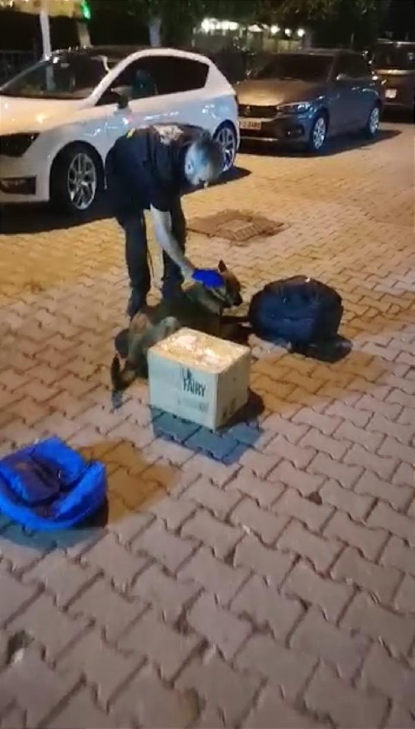 Narkotik köpeği 'Coco'nun katıldığı operasyonda 3 kilo esrar ele geçirildi