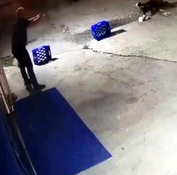 Eğlence merkezi bahçesinde bağlı köpeği 14 kurşunla öldürdü