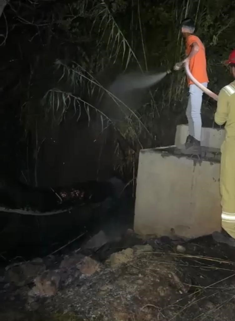 Gazipaşa'da hazineye ait bozuk ormanlık alanda yangın çıktı