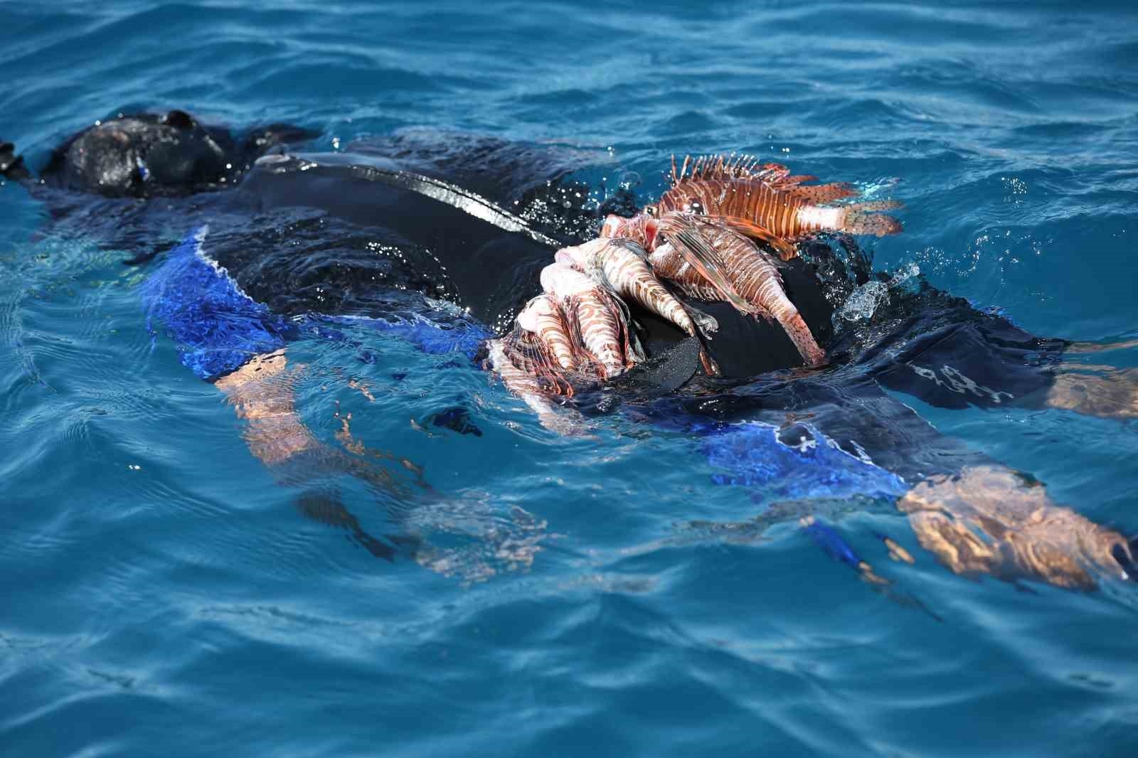 Antalya'da Aslan Balığı Avlama Yarışması düzenlendi