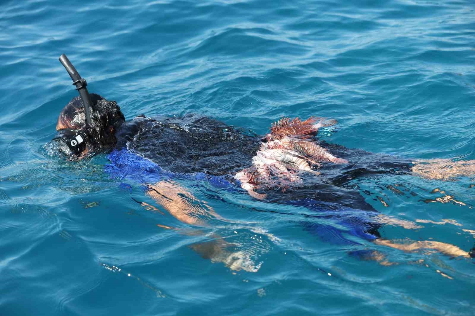 Antalya'da Aslan Balığı Avlama Yarışması düzenlendi