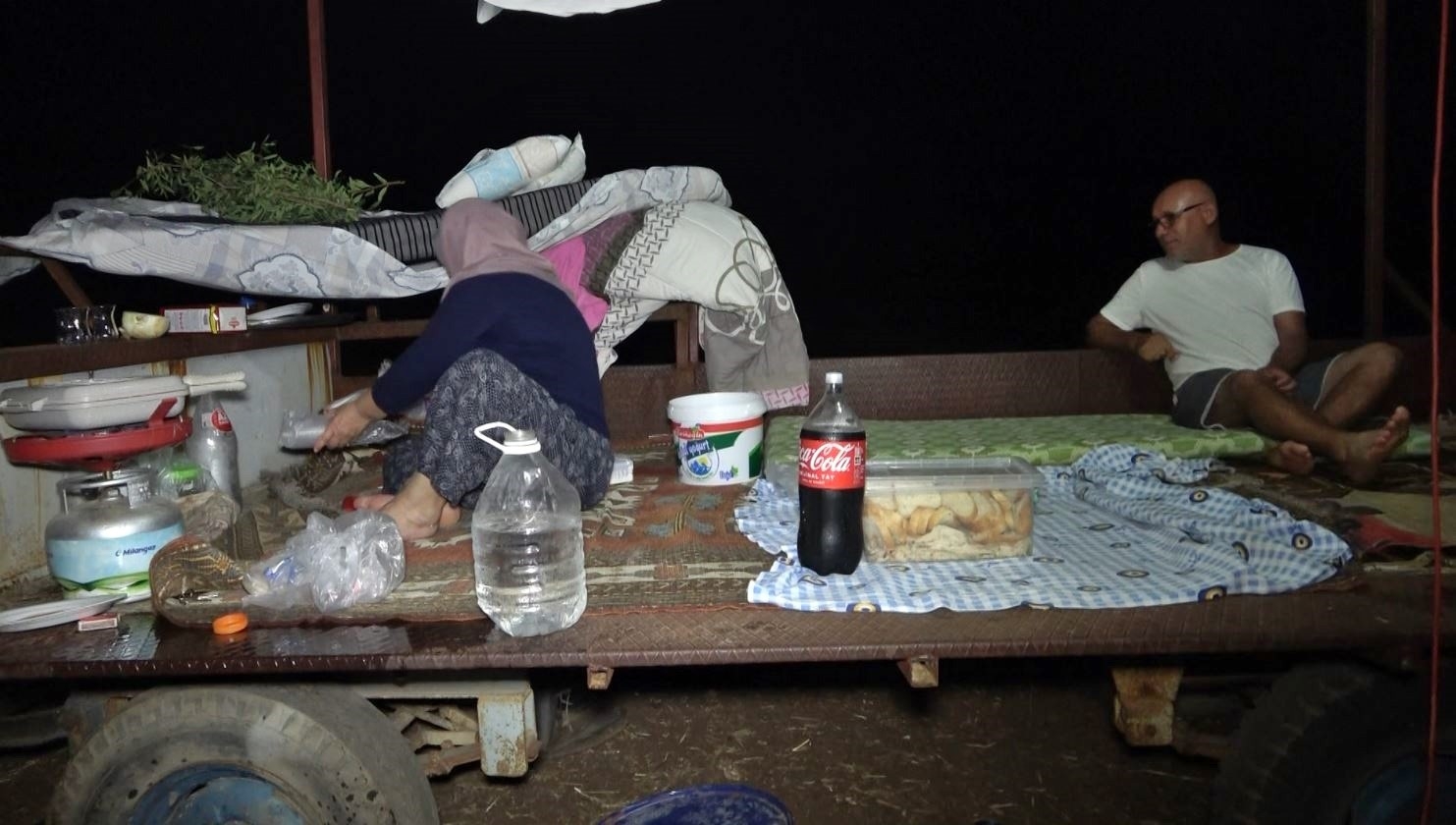 Antalya'da tarlada milyonluk halı nöbeti: Güneş batınca başlayıp, doğunca bitiriyorlar
