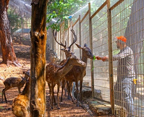 Antalya'da yüzde 76'ya ulaşan nem, bunalttı