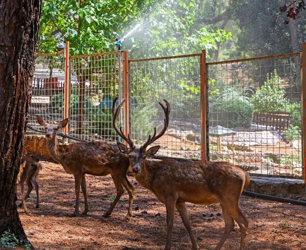 Antalya'da yüzde 76'ya ulaşan nem, bunalttı