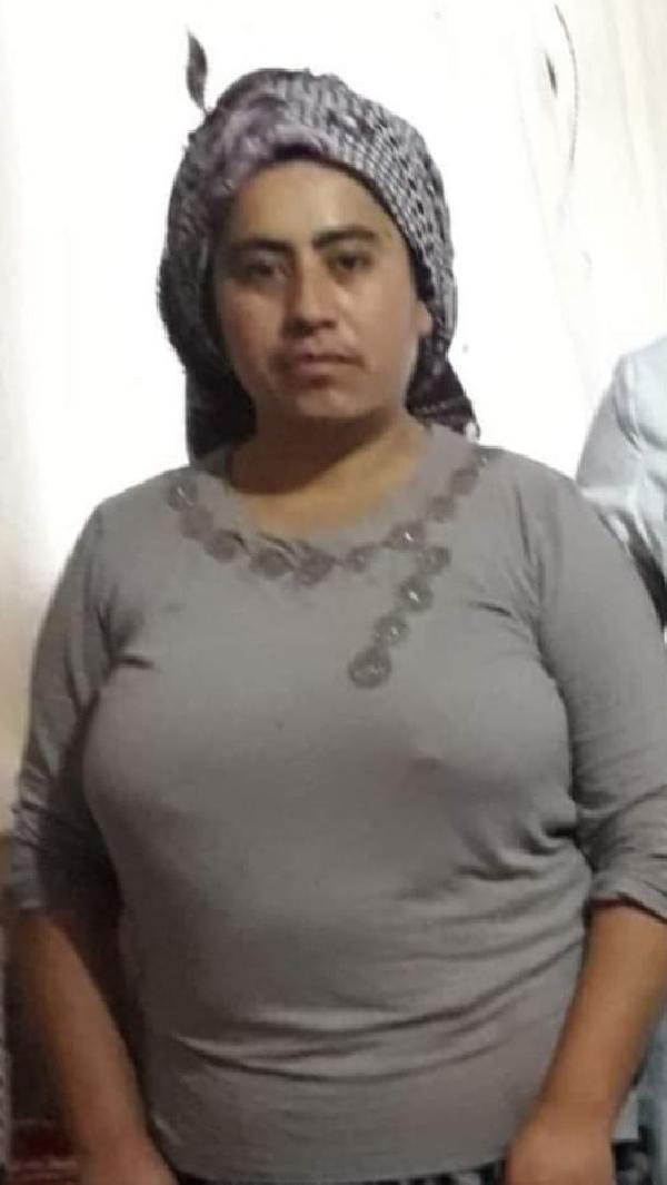 Bir haftadır aranan kadın, zeytinlikte ölü bulundu