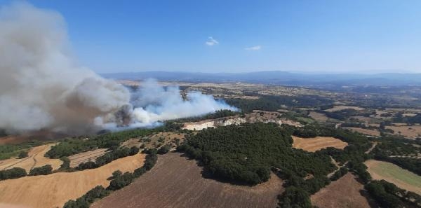 Çanakkale'de orman yangını