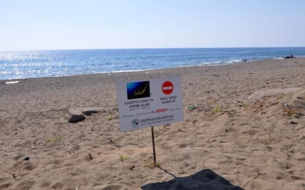 Caretta caretta yuvası üzerinde mangal yaktılar