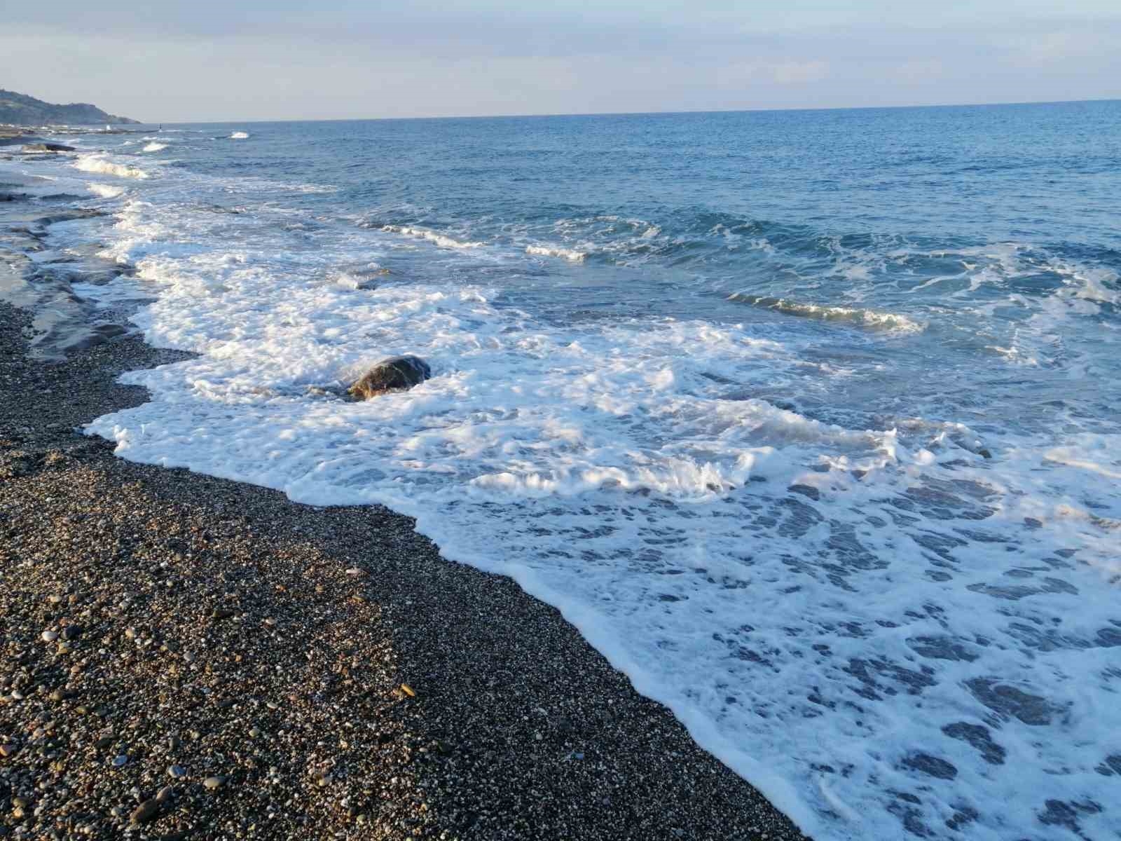 Caretta Caretta yuvasının koruma kafesini kaldırıp üzerinde mangal yaptılar