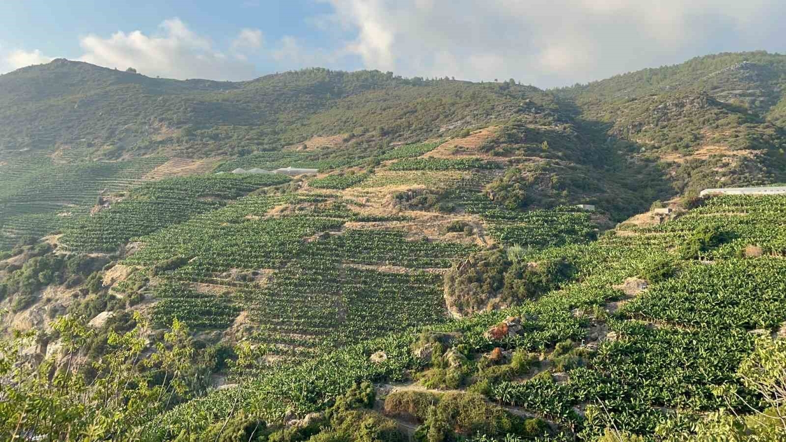 Çiftçilerin imece usulü sulama projesi hayata geçti