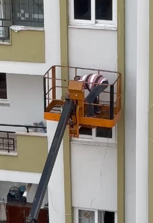 Evden kaçan papağan, 3'üncü kat penceresinden vinçle alındı