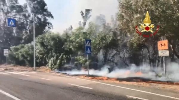 İtalya'nın Sardinya adasında orman yangını