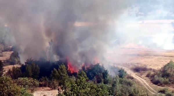 Kastamonu'da yangın, 1 saatte kontrol altına alındı