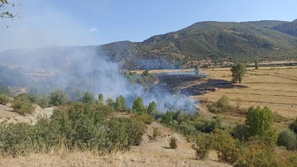 Kastamonu'da yangın, 1 saatte kontrol altına alındı