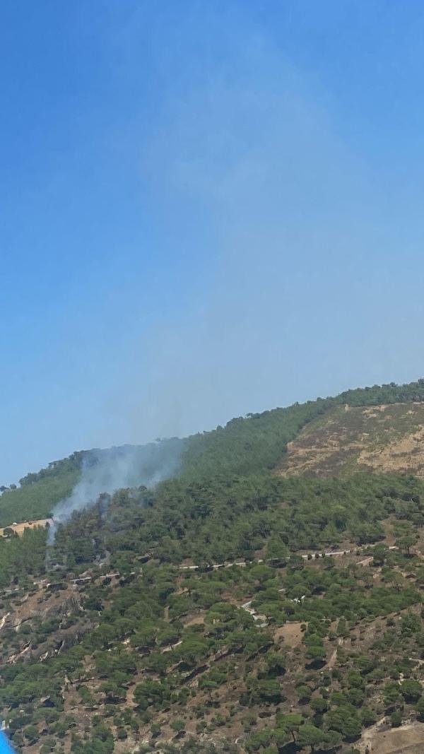 Muğla'da 1 hektar orman yandı