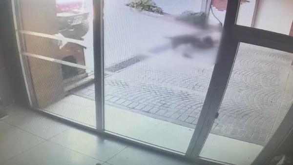 Pitbull saldırısı: Sahipleri yakalandı !