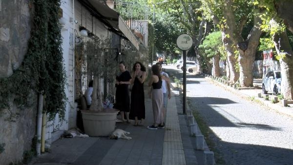 Sarıyer'de zeytin ağacı tartışması: Kendini ağaca zincirledi