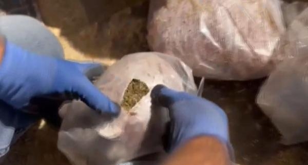 TIR'da 41 kilo skunk ele geçirildi
